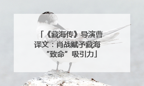 《藏海传》导演曹译文：肖战赋予藏海“致命”吸引力