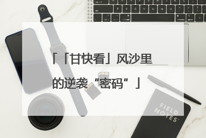 「甘快看」风沙里的逆袭“密码”