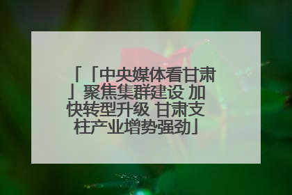 「中央媒体看甘肃」聚焦集群建设 加快转型升级 甘肃支柱产业增势强劲