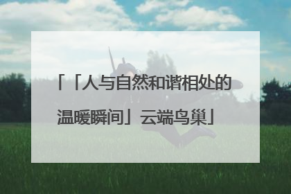 「人与自然和谐相处的温暖瞬间」云端鸟巢