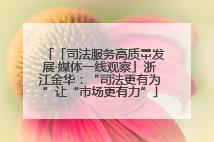 「司法服务高质量发展·媒体一线观察」浙江金华：“司法更有为”让“市场更有力”