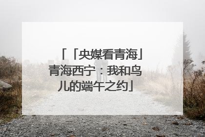 「央媒看青海」青海西宁：我和鸟儿的端午之约