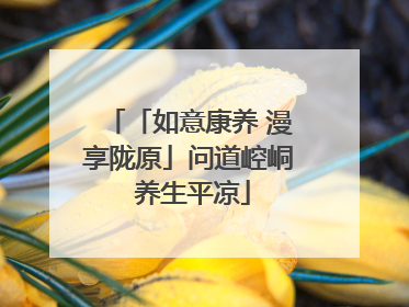 「如意康养 漫享陇原」问道崆峒 养生平凉