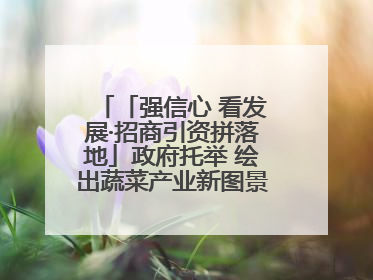 「强信心 看发展·招商引资拼落地」政府托举 绘出蔬菜产业新图景——镇原县甘肃聚广利现代设施蔬菜种植基地见闻
