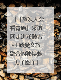「旅发大会看青原」采访团走进渼陂古村 感受文旅融合的独特魅力（图）