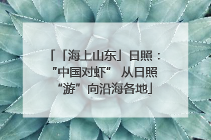 「海上山东」日照：“中国对虾” 从日照“游”向沿海各地