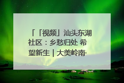 「视频」汕头东湖社区：乡愁归处 希望新生｜大美岭南·百村焕新记