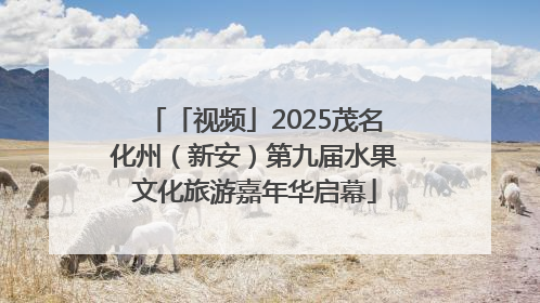 「视频」2025茂名化州（新安）第九届水果文化旅游嘉年华启幕