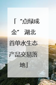“点绿成金” 湖北首单水生态产品交易落地