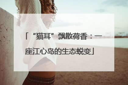 “猫耳”飘散荷香：一座江心岛的生态蜕变