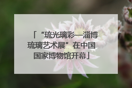 “琉光璃彩—淄博琉璃艺术展”在中国国家博物馆开幕