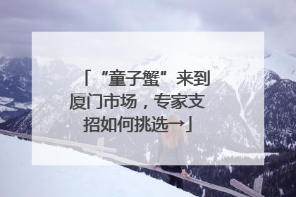 “童子蟹”来到厦门市场，专家支招如何挑选→