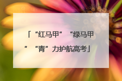 “红马甲”“绿马甲”“青”力护航高考