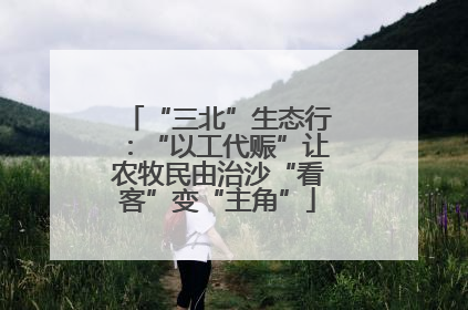 “三北”生态行：“以工代赈”让农牧民由治沙“看客”变“主角”