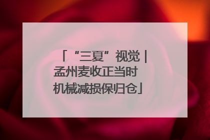 “三夏”视觉｜孟州麦收正当时 机械减损保归仓