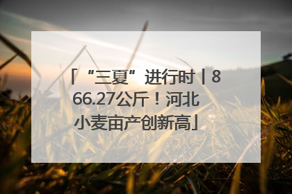 “三夏”进行时丨866.27公斤！河北小麦亩产创新高