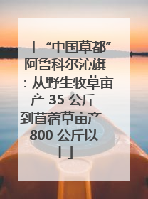 “中国草都” 阿鲁科尔沁旗：从野生牧草亩产 35 公斤到苜蓿草亩产 800 公斤以上