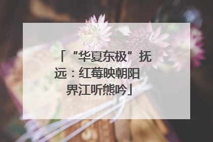 “华夏东极”抚远：红莓映朝阳 界江听熊吟
