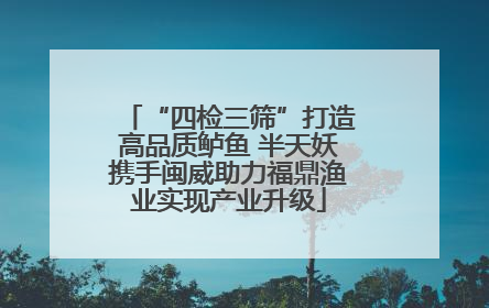 “四检三筛”打造高品质鲈鱼 半天妖携手闽威助力福鼎渔业实现产业升级