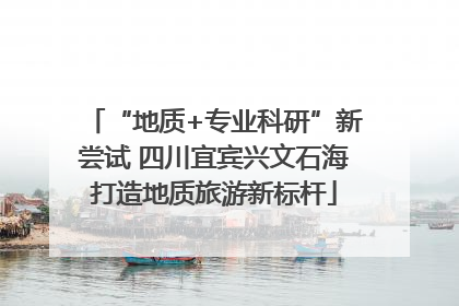 “地质+专业科研”新尝试 四川宜宾兴文石海打造地质旅游新标杆