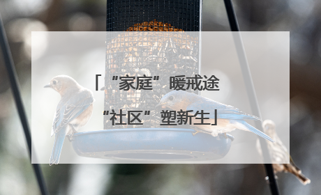 “家庭”暖戒途 “社区”塑新生