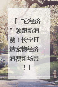 “它经济”领跑新消费！长宁打造宠物经济消费新场景！