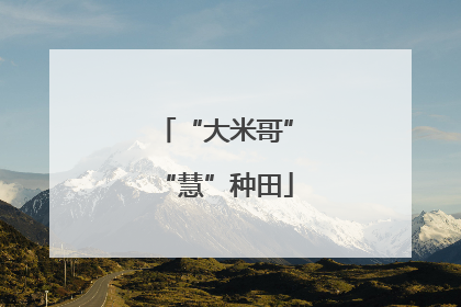 “大米哥”“慧”种田