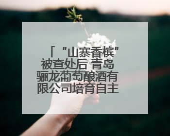 “山寨香槟”被查处后 青岛骊龙葡萄酿酒有限公司培育自主商标