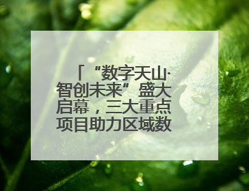 “数字天山·智创未来”盛大启幕，三大重点项目助力区域数字经济腾飞