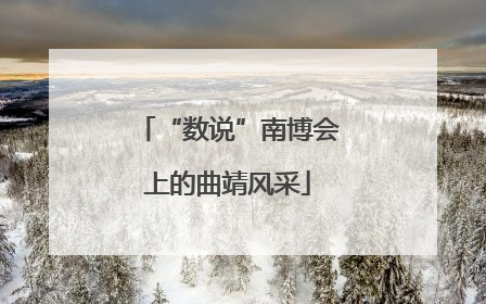 “数说”南博会上的曲靖风采