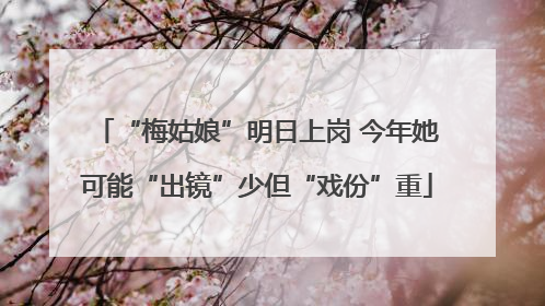 “梅姑娘”明日上岗 今年她可能“出镜”少但“戏份”重