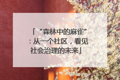 “森林中的麻雀”：从一个社区，看见社会治理的未来