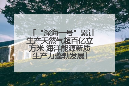 “深海一号”累计生产天然气超百亿立方米 海洋能源新质生产力蓬勃发展