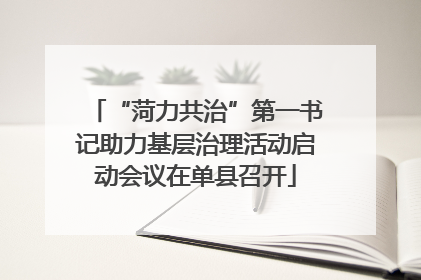 “菏力共治”第一书记助力基层治理活动启动会议在单县召开