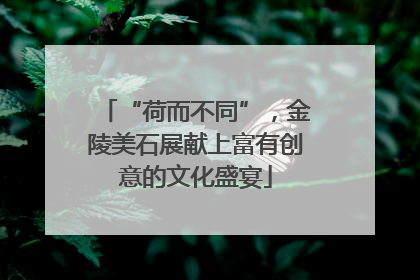 “荷而不同”，金陵美石展献上富有创意的文化盛宴