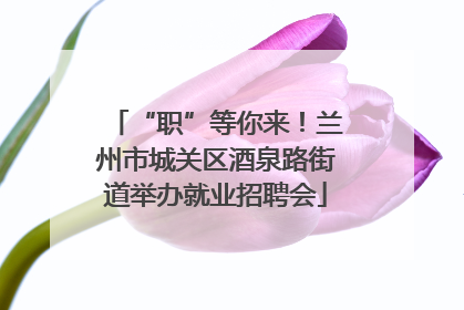 “职”等你来！兰州市城关区酒泉路街道举办就业招聘会