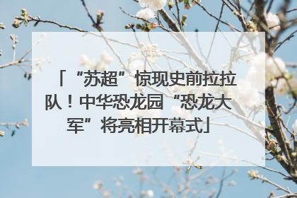 “苏超”惊现史前拉拉队！中华恐龙园“恐龙大军”将亮相开幕式
