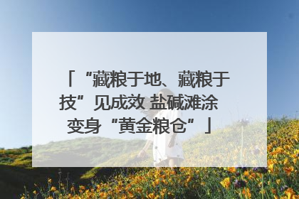 “藏粮于地、藏粮于技”见成效 盐碱滩涂变身“黄金粮仓”