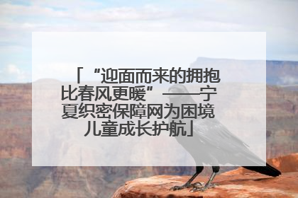 “迎面而来的拥抱比春风更暖”——宁夏织密保障网为困境儿童成长护航