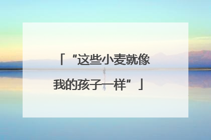 “这些小麦就像我的孩子一样”