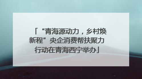 “青海源动力，乡村焕新程”央企消费帮扶聚力行动在青海西宁举办