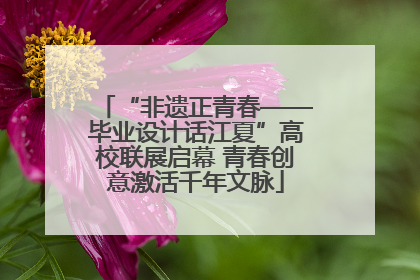 “非遗正青春——毕业设计话江夏”高校联展启幕 青春创意激活千年文脉