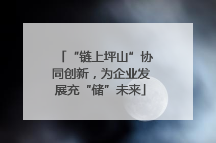 “链上坪山”协同创新，为企业发展充“储”未来