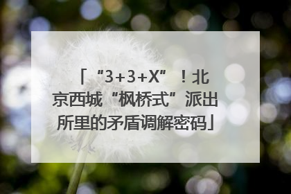 “3+3+X”！北京西城“枫桥式”派出所里的矛盾调解密码
