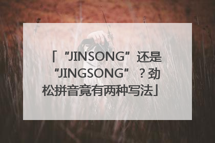 “JINSONG”还是“JINGSONG”？劲松拼音竟有两种写法