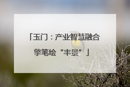 玉门：产业智慧融合 擎笔绘“丰景”