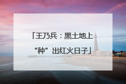 王乃兵：黑土地上“种”出红火日子
