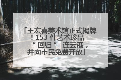 王宏喜美术馆正式揭牌！153 件艺术珍品 “ 回归 ” 连云港，并向市民免费开放