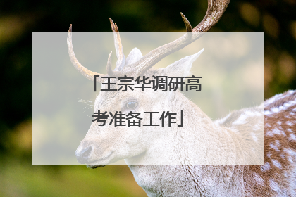 王宗华调研高考准备工作