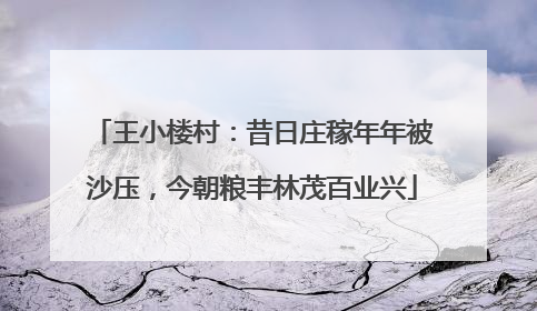 王小楼村：昔日庄稼年年被沙压，今朝粮丰林茂百业兴